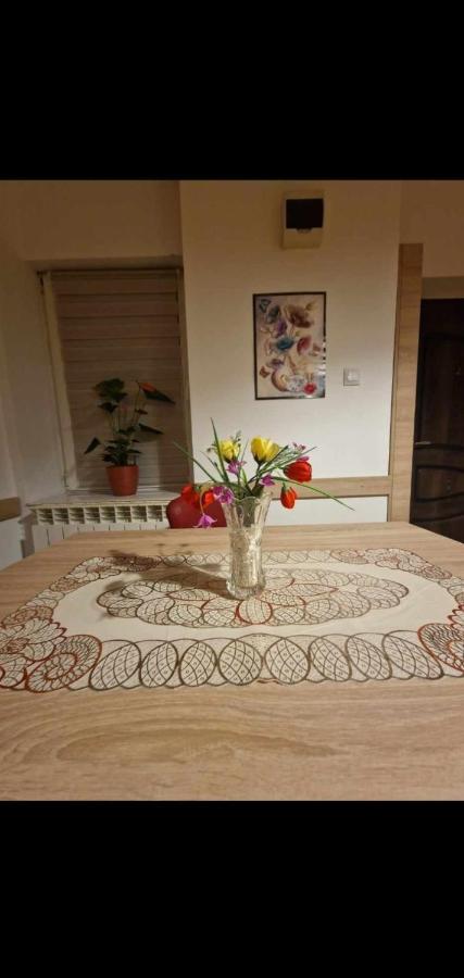 Ap Central Traian Mosoiu 2 Parcare Proprie Cluj-Napoca Buitenkant foto